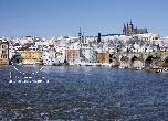 Archibald at the Charles Bridge photo