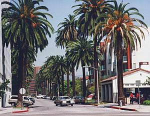 Beverly Hills